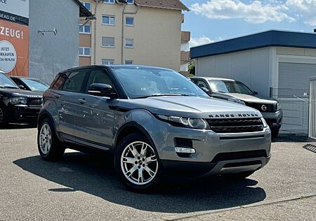 Land Rover Range Rover Evoque Evoque 2.2 Pure/Xen/Meridan/Leder/5-Türer