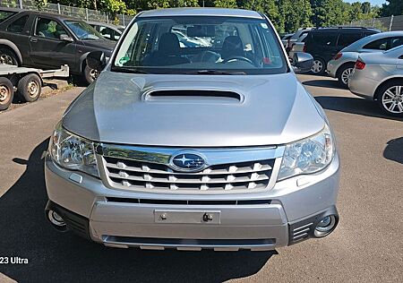 Subaru Forester Active