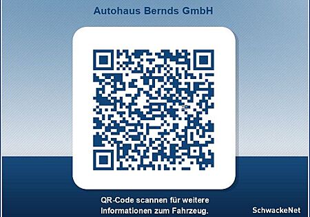 Ford Fiesta 1.0 EcoBoost S&S TITANIUM WINTERPAKET