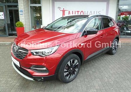 Opel Grandland X 1.2 Autom. Design Line - Navi, AHK,