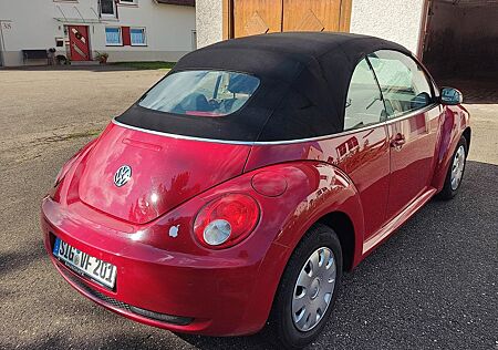 VW New Beetle Volkswagen 1.4 Cabriolet -