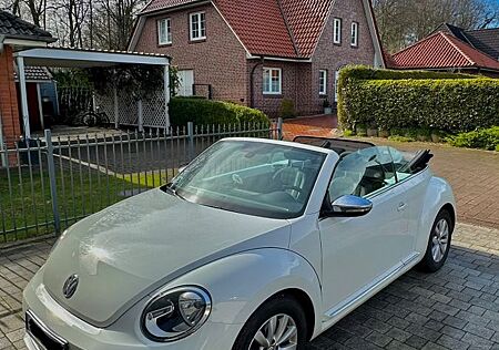 VW Beetle Volkswagen Cabriolet Design BMT/ weiß *Chromakzente*