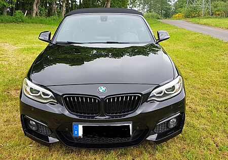 BMW 220i Winterangebot !! Cabrio M Sport M Sport