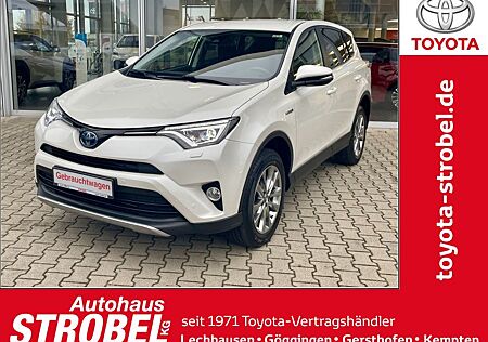 Toyota RAV 4 2.5 4x2 Hybrid Team Deutschland*SHZ*