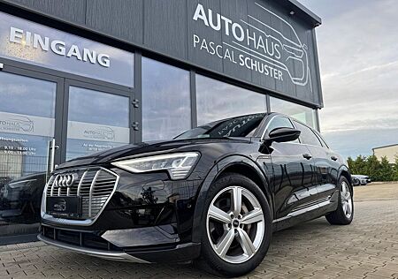 Audi e-tron 50 quattro/LUFT/AHK/KAMERA/VIRTUAL
