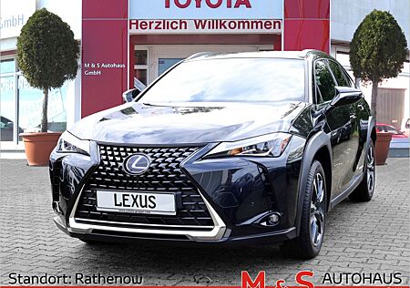Lexus UX gebraucht kaufen Lexus UX 2.0 250h