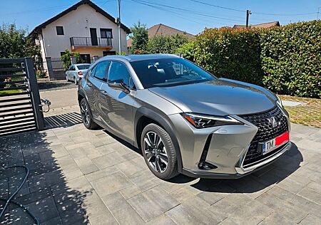 Lexus UX gebraucht kaufen Lexus UX 250h Luxury Line MarkLevinson