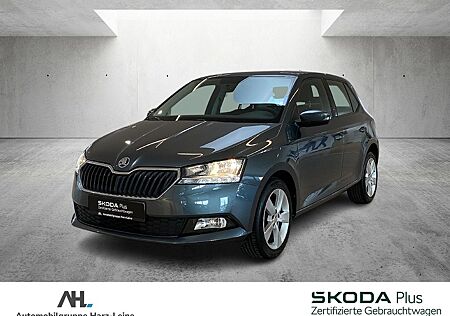 Skoda Fabia 1.0 TSI Cool Plus DAB SHZ Klima PDC