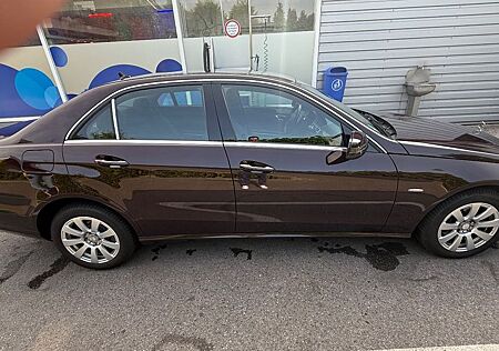 Mercedes-Benz E 220 gebraucht kaufen Mercedes-Benz E 220 CDI BlueEFFICIENCY -