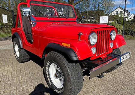 Jeep CJ CJ5 V8 4x4