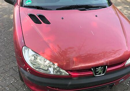 Peugeot 206 1.4 Grand Filou 75 Cool