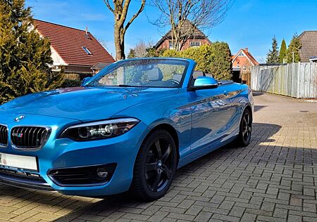 BMW 218d Cabrio Advantage Vollleder, super Ausstatt.