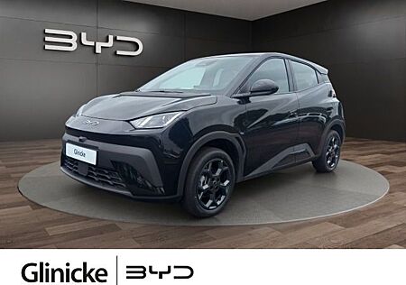 BYD DOLPHIN Surf Boost TAGESZULASSUNG