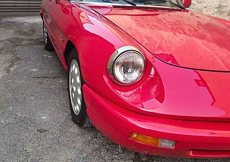 Alfa Romeo Spider "Bella Macchina" H-Zulassung