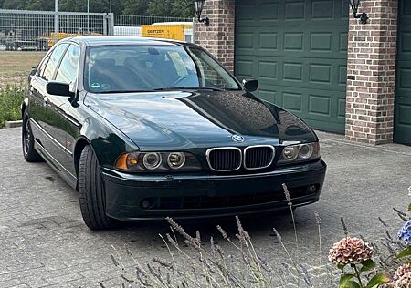 BMW 525 gebraucht kaufen BMW 525I E39 mit Kultstatus