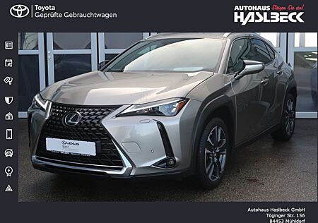 Lexus UX 250h Style Edition