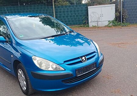 Peugeot 307 Grande Filou Cool