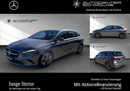 Mercedes-Benz B 250 4-MATIC*THERMOTRONIC*MEMORY*FAHRASSISTENZP