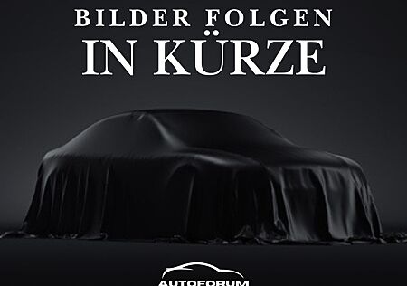 VW Golf Volkswagen 8 GTI MATRIX|CARPLAY|KAMERA|HARMAN-KARDON