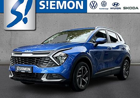 Kia Sportage gebraucht kaufen Kia Sportage 1.6 T-GDI Vision 4WD SHZ DAB+ PDC