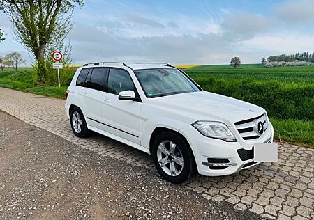 Mercedes-Benz GLK 220 CDI BlueEFFICIENCY -