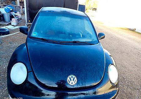 VW Beetle Volkswagen
