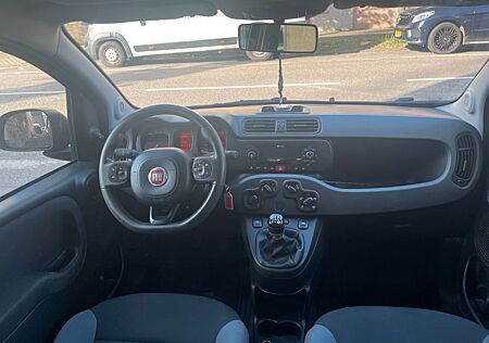 Fiat Panda Easy 1.Hand neue TÜV