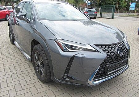 Lexus UX 250h