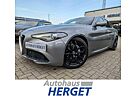 Alfa Romeo Giulia 2.2 AT8 Super Scheckheft/19.Zoll/Navi/RFK