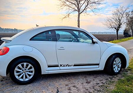 Volkswagen Beetle Käfer