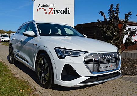 Audi e-tron 50 quattro S line/LEDER/LED/NAVI/VIRTUAL/