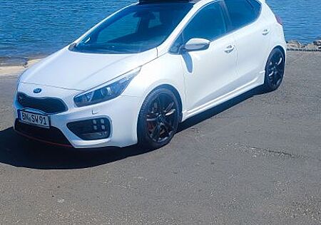 Kia Cee'd / Ceed 1.6 T-GDI GT-Track GT-Track