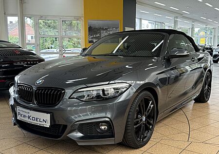 BMW 220 i M-SPORTPAKET *NAVi*HiFi*LED*PDC*18"