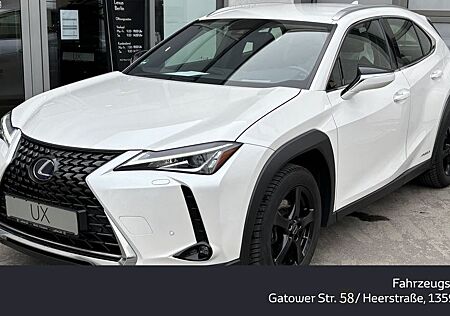 Lexus UX 250h FWD EXECUTIVE  *Standheizung*AHK*WKR*