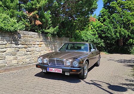 Jaguar XJ12