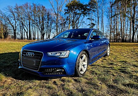 Audi A5 3.0 TDI S tronic quattro mit Standheizung
