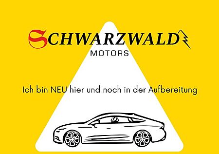 Opel Zafira C Edition Automatik 1 Hand Winterpaket