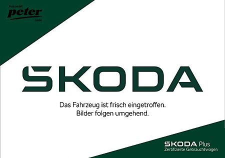 Skoda Kamiq TSI DSG MONTE CARLO **AHK*LED*ACC*PANORAMA