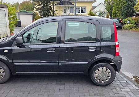 Fiat Panda gebraucht kaufen Fiat Panda