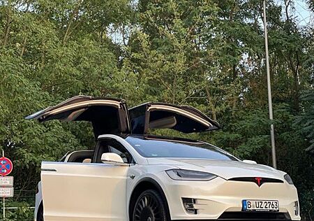 Tesla Model X Performance -Luidicruise Mode Dual Motor
