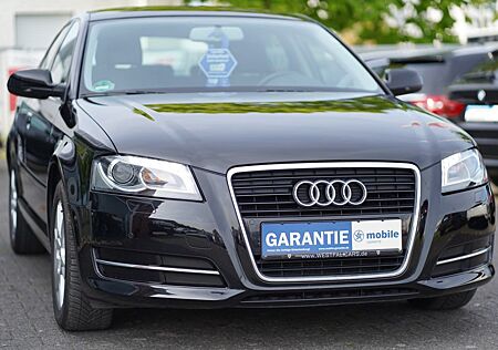 Audi A3 Sportback 1.6 Attraction Klima PDC Bi-Xenon