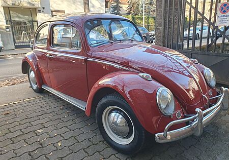 VW Beetle Volkswagen Bug Käfer