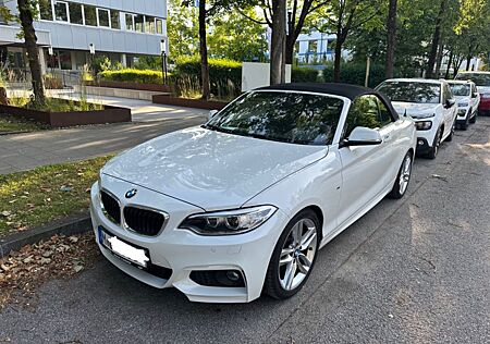 BMW 220i Cabrio MSport/Kamera/Xenon/Leder/Scheckheft