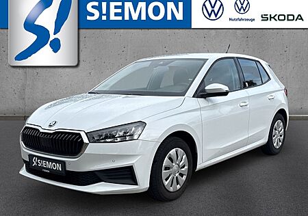 Skoda Fabia 1.0 TSI DSG Ambition Navi Tempo SHZ PDC