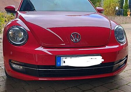 VW New Beetle Volkswagen