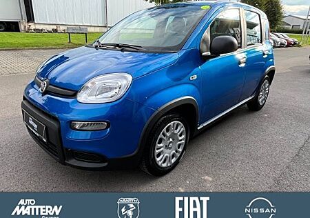 Fiat Panda Pandina Hybrid, PDC,Klima,Verkehrszeichen