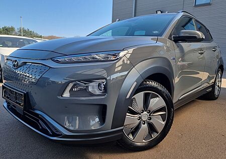 Hyundai Kona Elektro Leder Navi HUD Keyless Kamera Krell