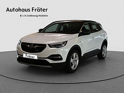 Opel Grandland X Innovation Navi Kamera