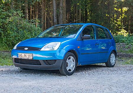 Ford Fiesta 1.4 TDCi -
