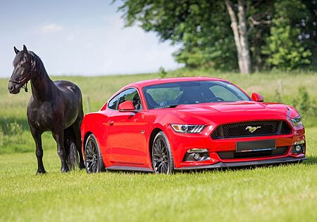 Ford Mustang GT Premium Fastback EU-Model